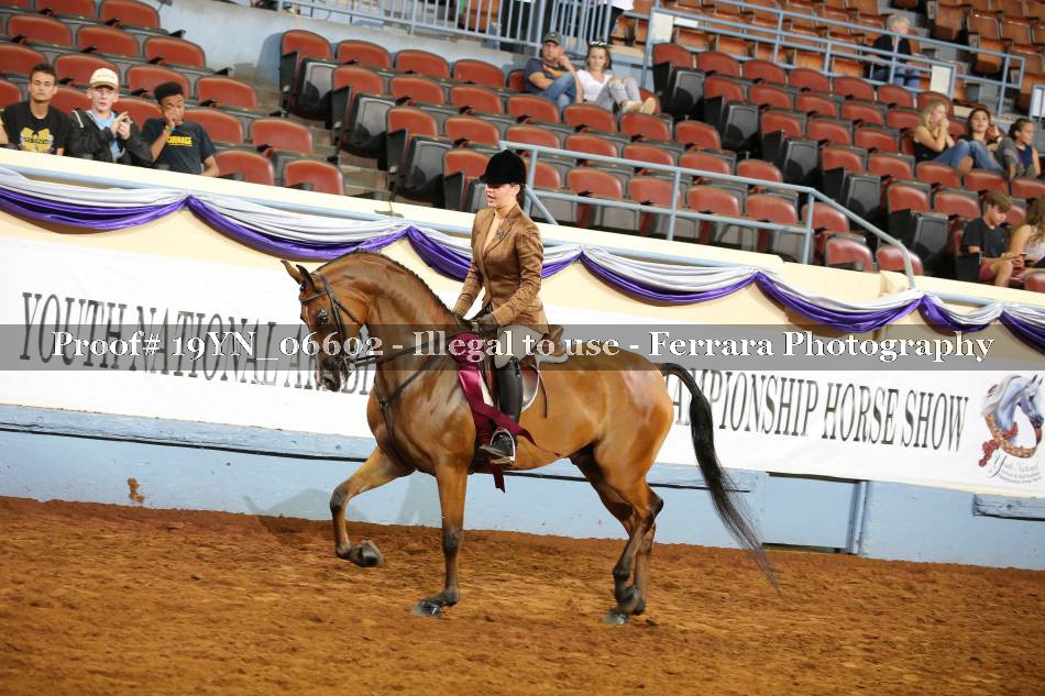 Proof 19YN_06602