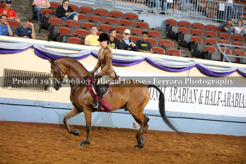 Proof 19YN_06603