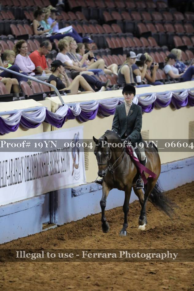 Proof 19YN_06604