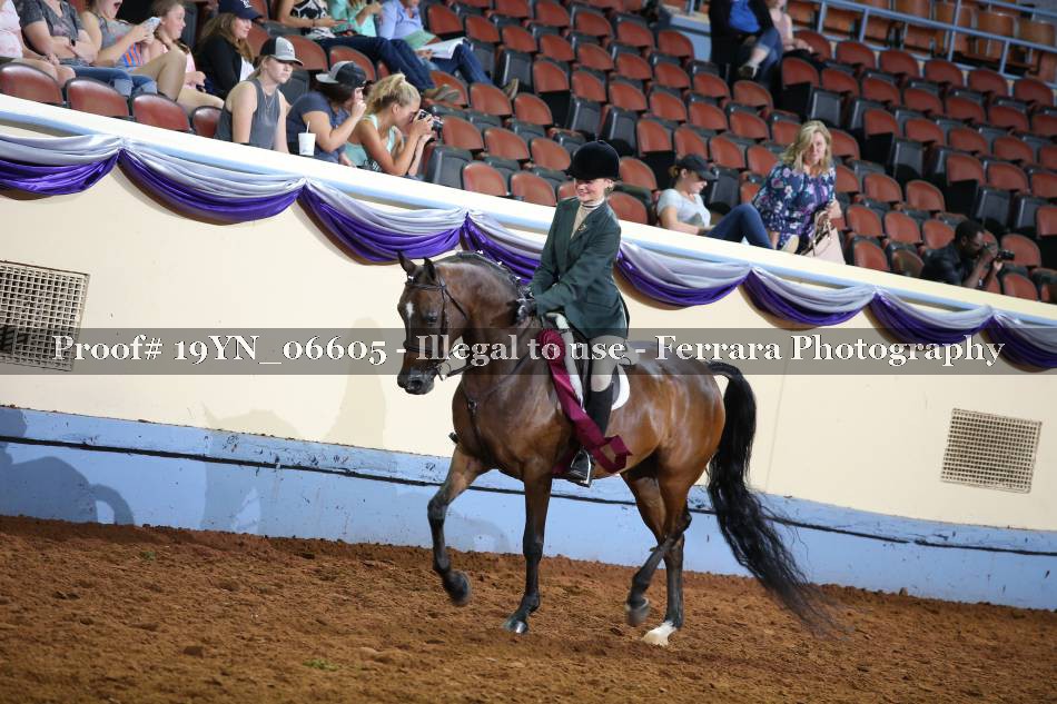 Proof 19YN_06605
