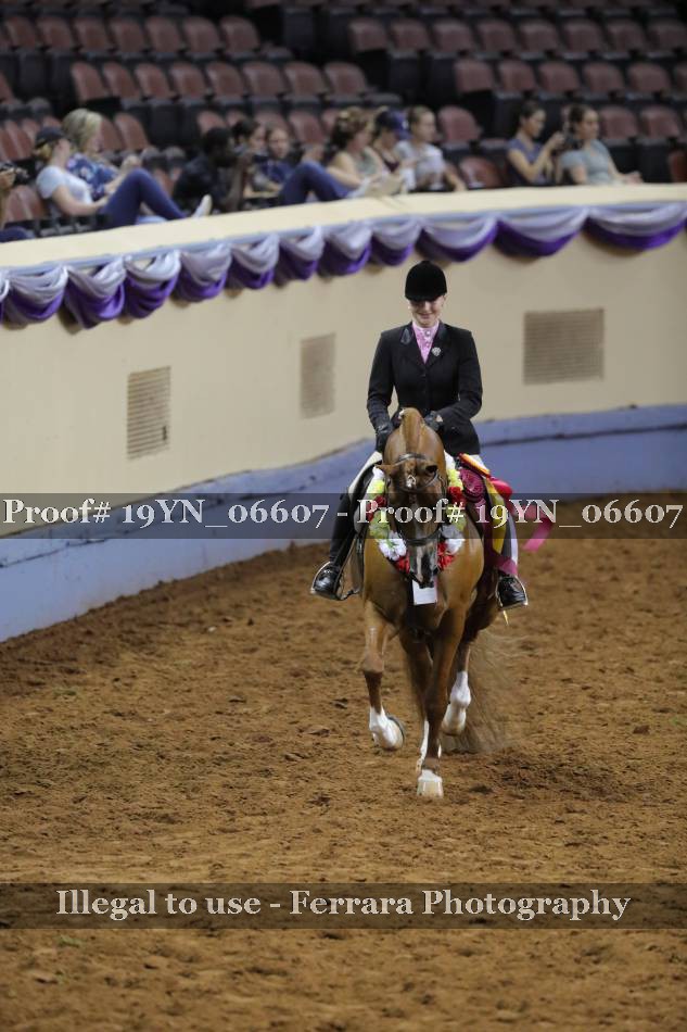Proof 19YN_06607