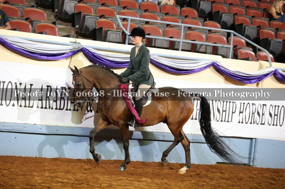 Proof 19YN_06608