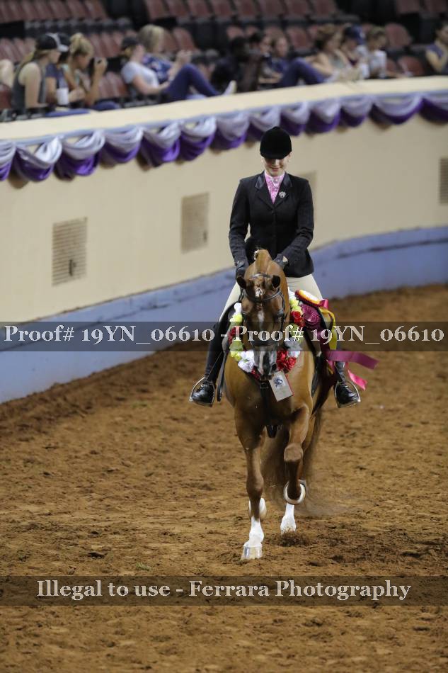 Proof 19YN_06610
