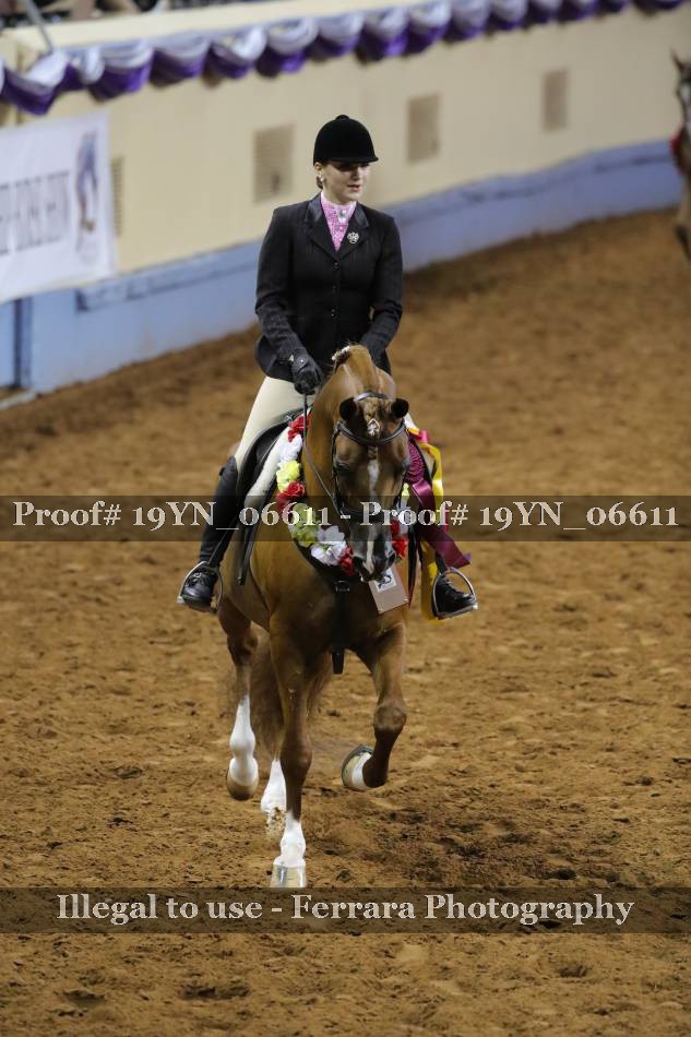 Proof 19YN_06611