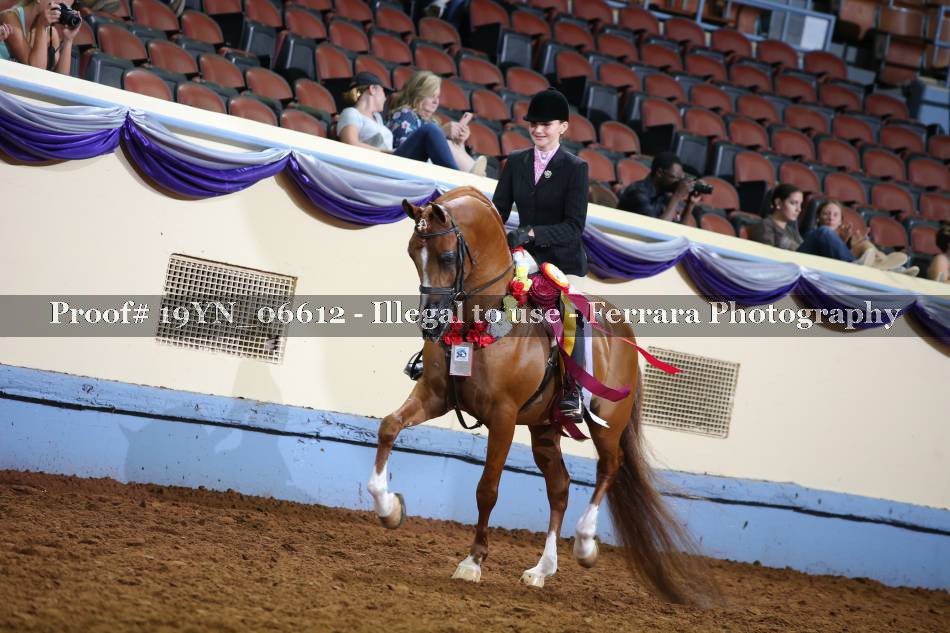 Proof 19YN_06612