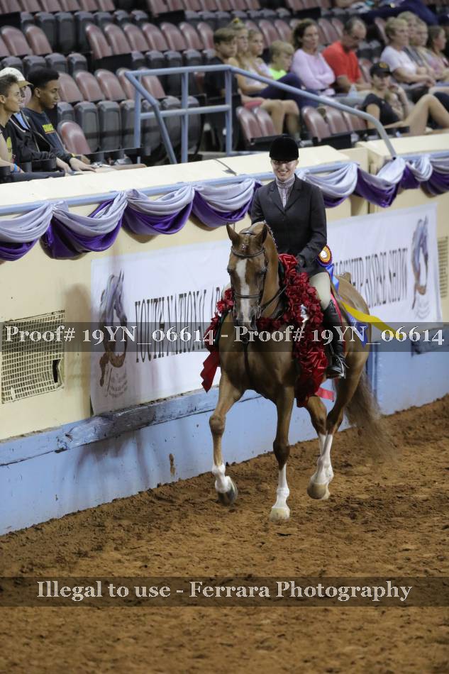 Proof 19YN_06614