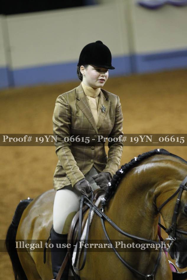 Proof 19YN_06615