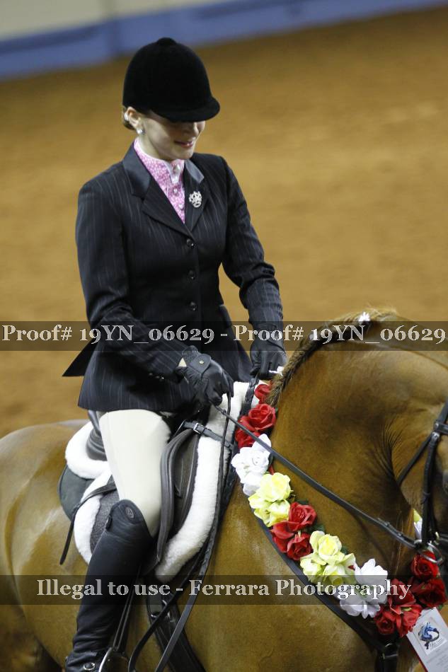 Proof 19YN_06629