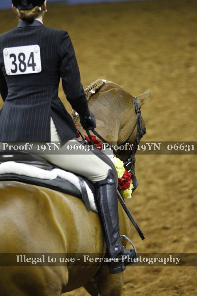 Proof 19YN_06631