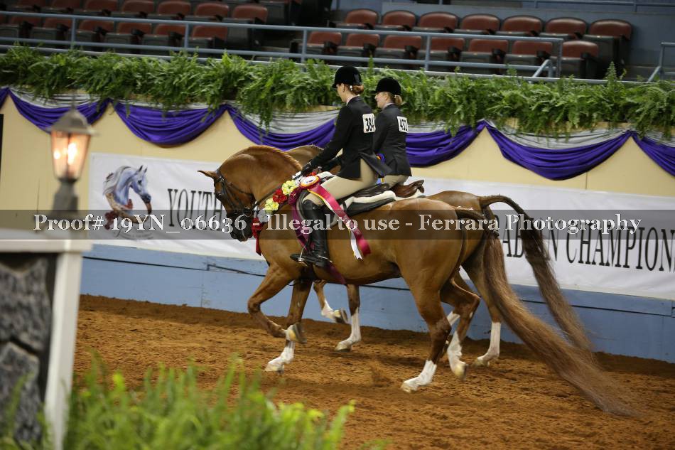 Proof 19YN_06636