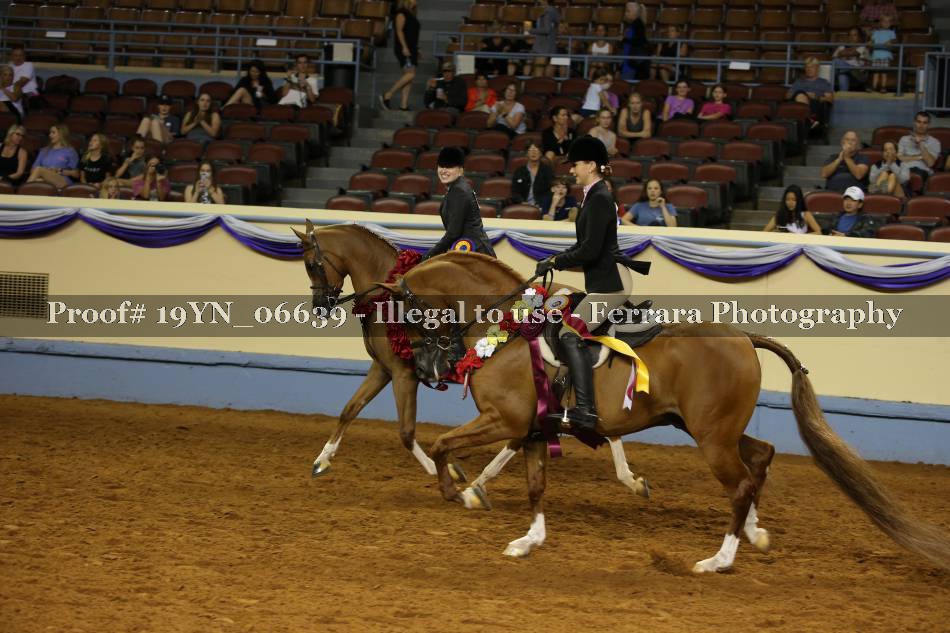 Proof 19YN_06639