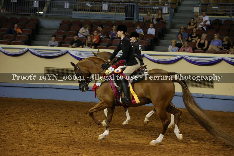 Proof 19YN_06641