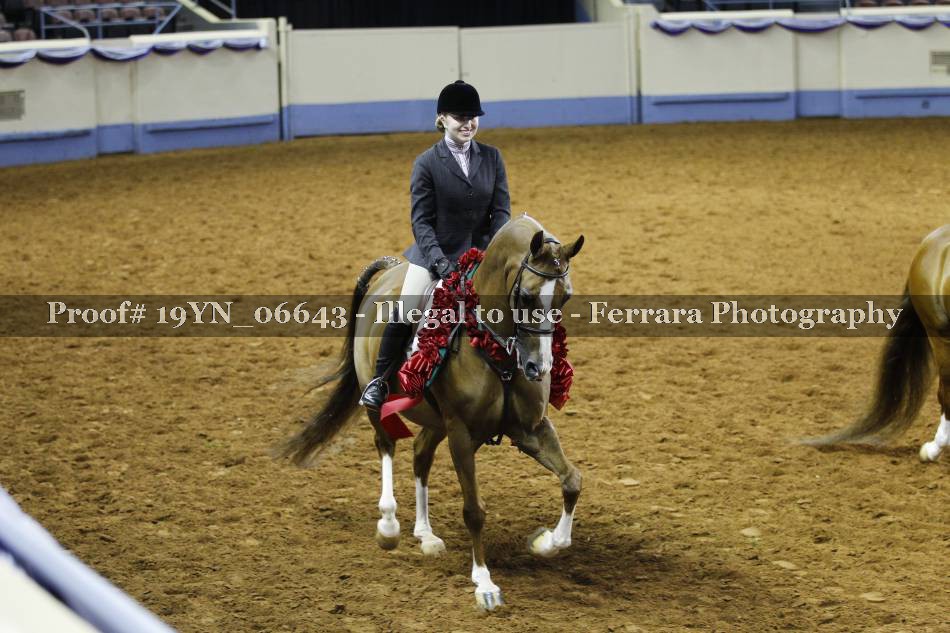 Proof 19YN_06643