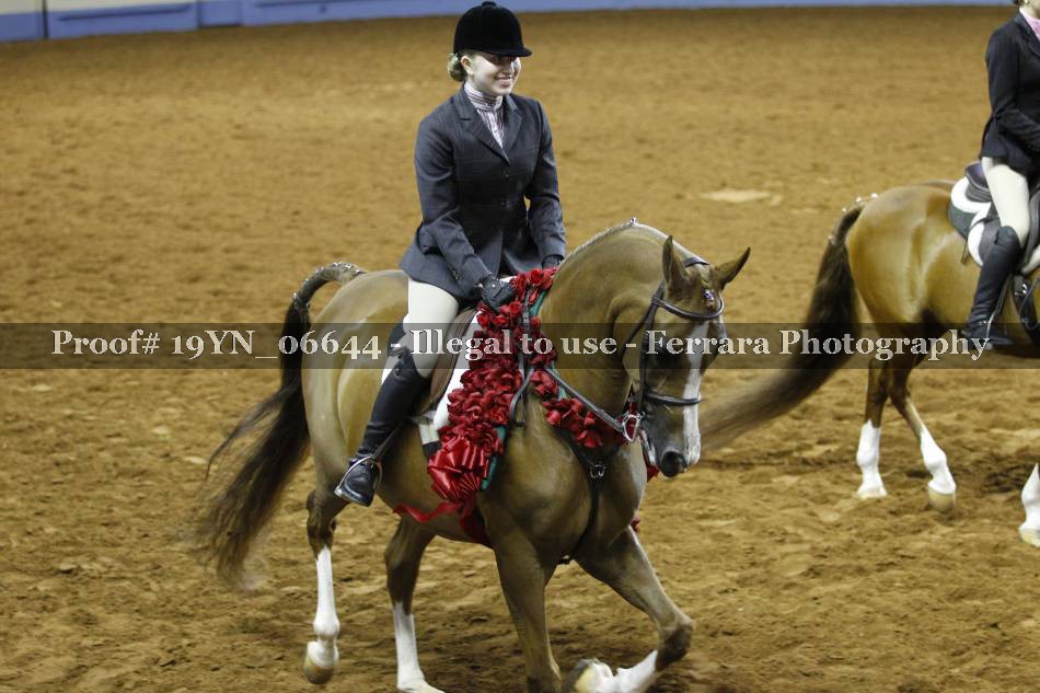 Proof 19YN_06644