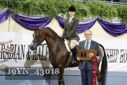 19YN_43018 proof