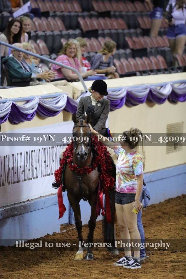 Proof 19YN_43099