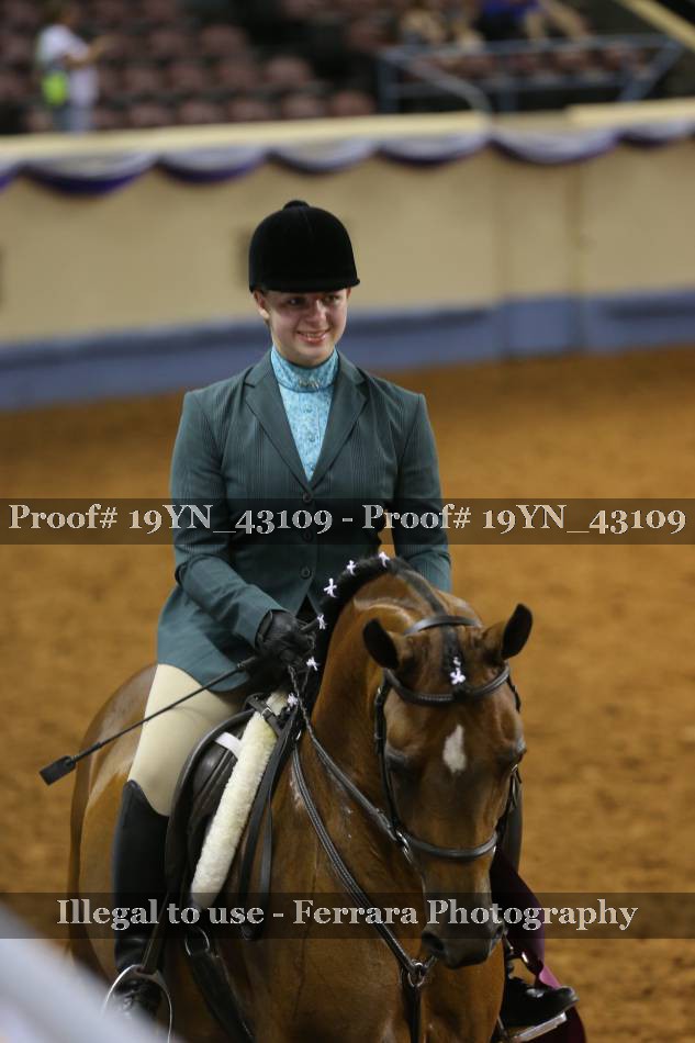 Proof 19YN_43109