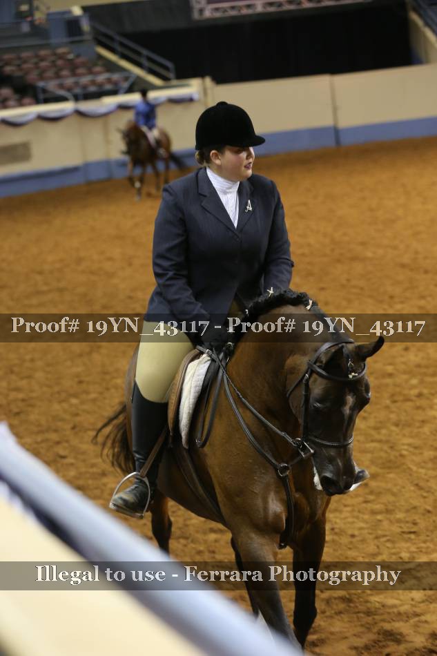 Proof 19YN_43117