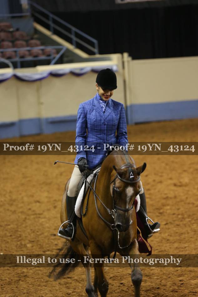 Proof 19YN_43124