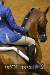 19YN_43131 proof