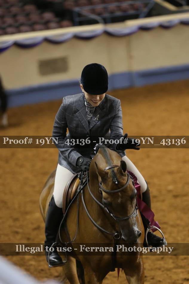 Proof 19YN_43136