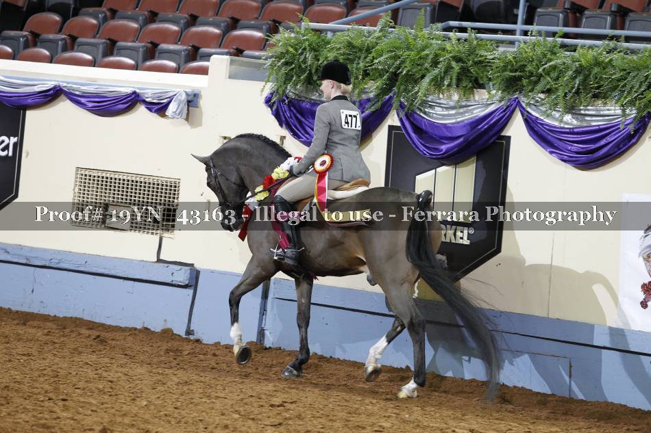 Proof 19YN_43163
