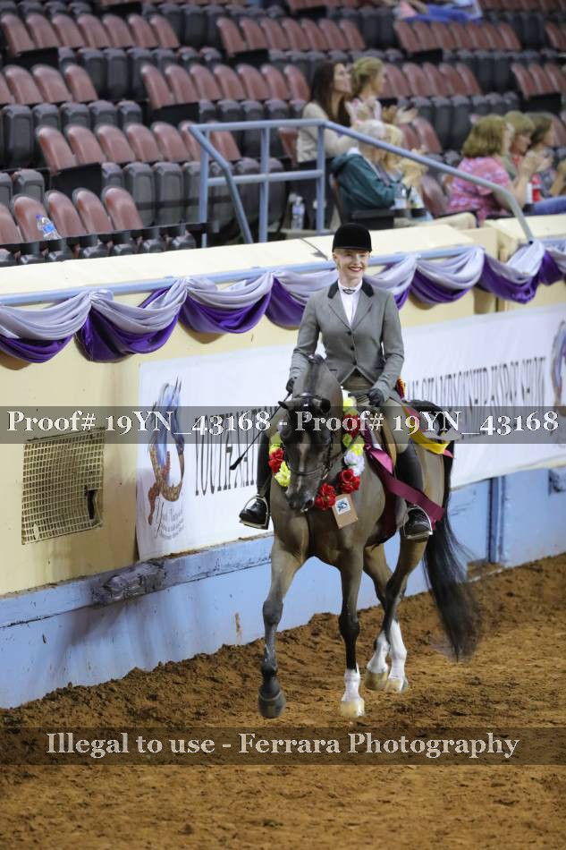 Proof 19YN_43168
