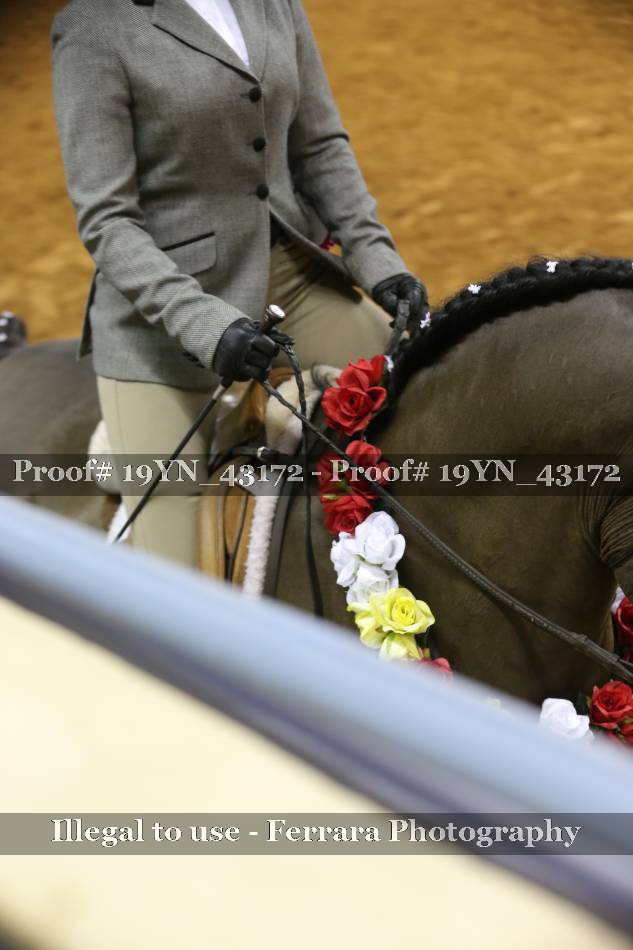 Proof 19YN_43172