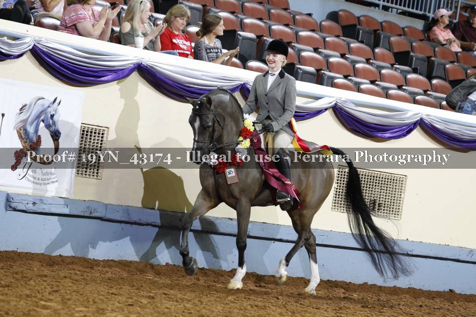 Proof 19YN_43174