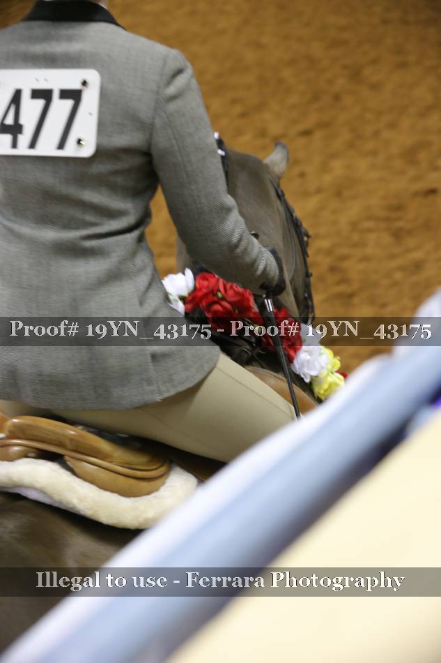 Proof 19YN_43175