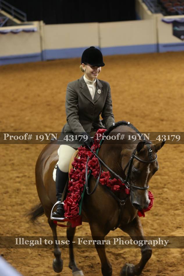 Proof 19YN_43179