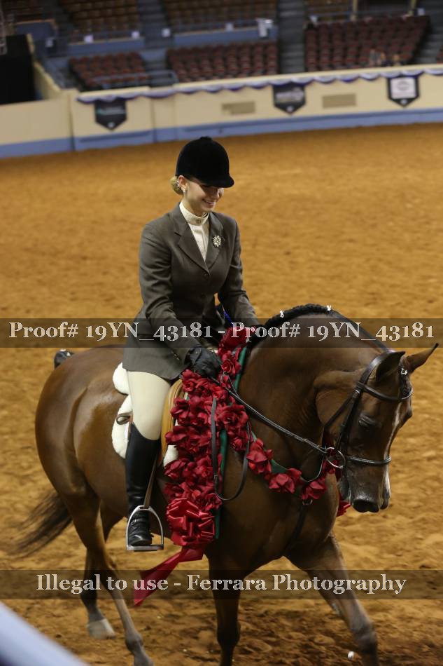 Proof 19YN_43181