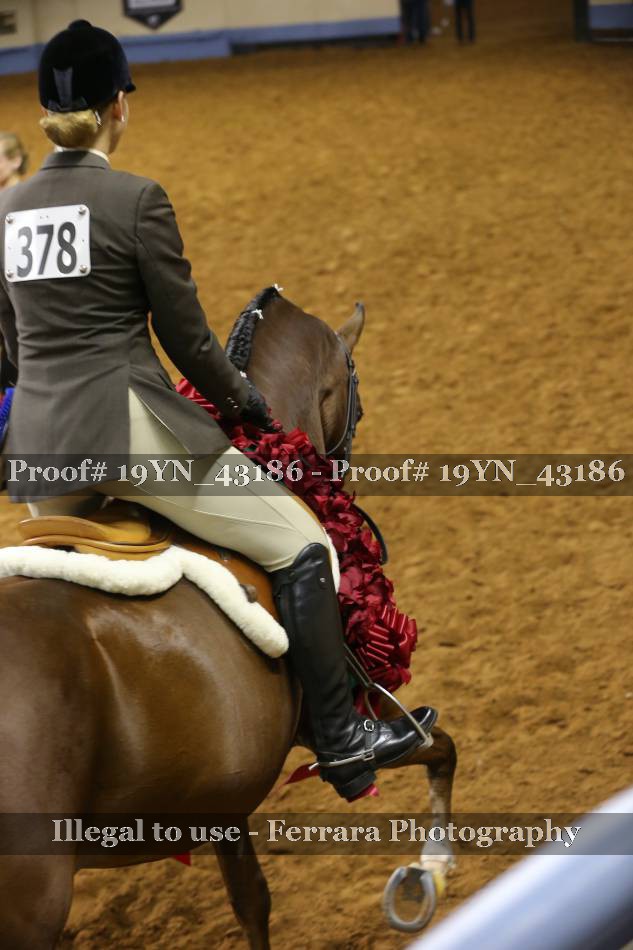 Proof 19YN_43186