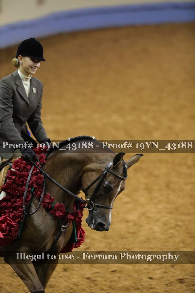Proof 19YN_43188