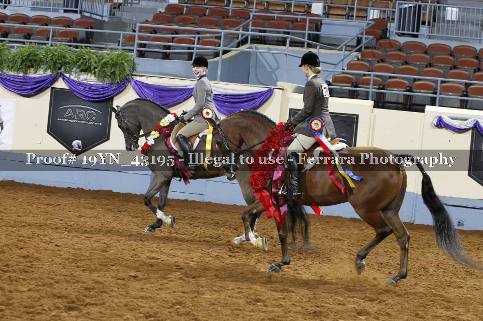 Proof 19YN_43195