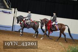 19YN_43201 proof