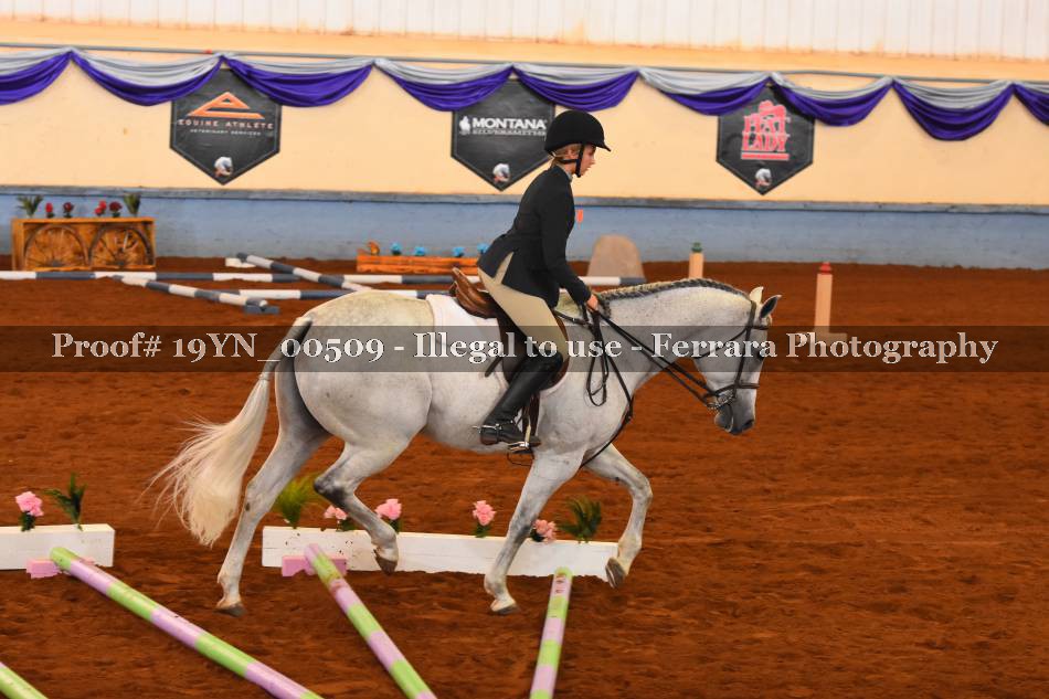 Proof 19YN_00509