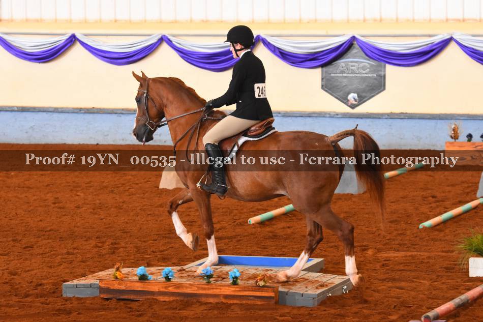 Proof 19YN_00535