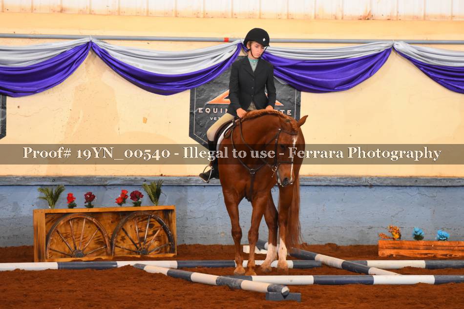 Proof 19YN_00540