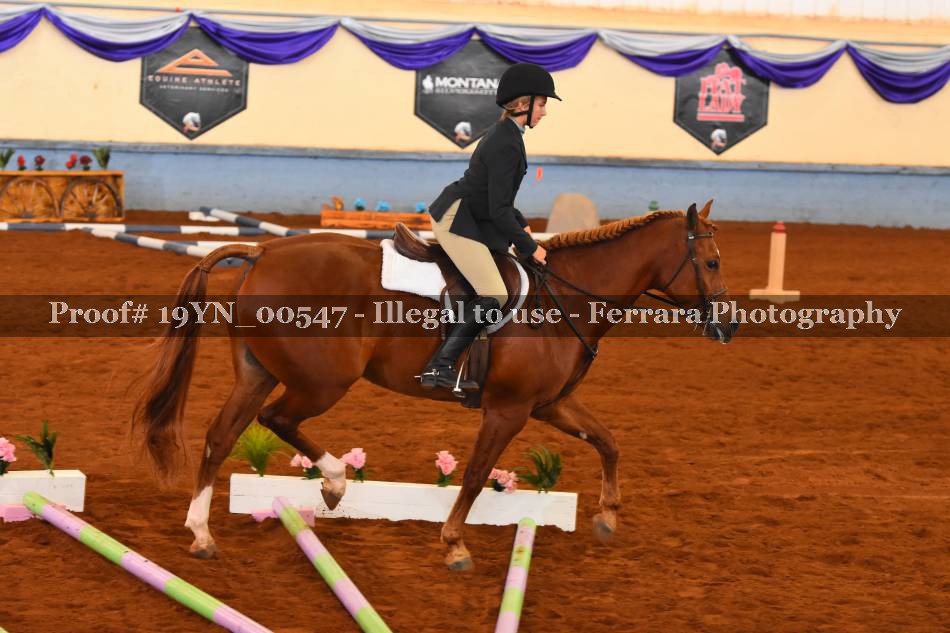 Proof 19YN_00547