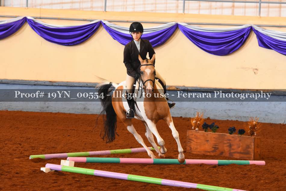 Proof 19YN_00554