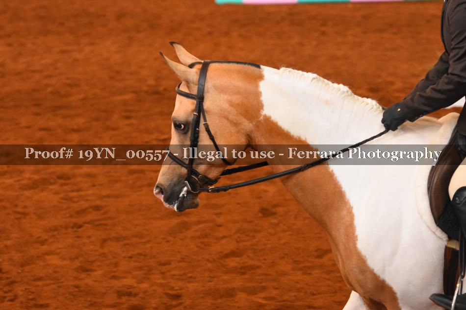 Proof 19YN_00557