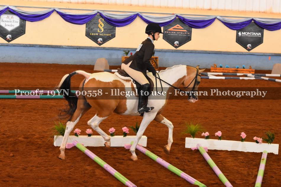 Proof 19YN_00558