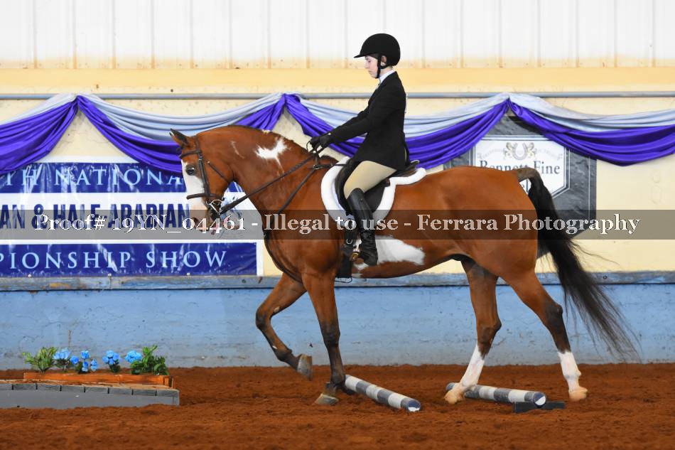 Proof 19YN_04461