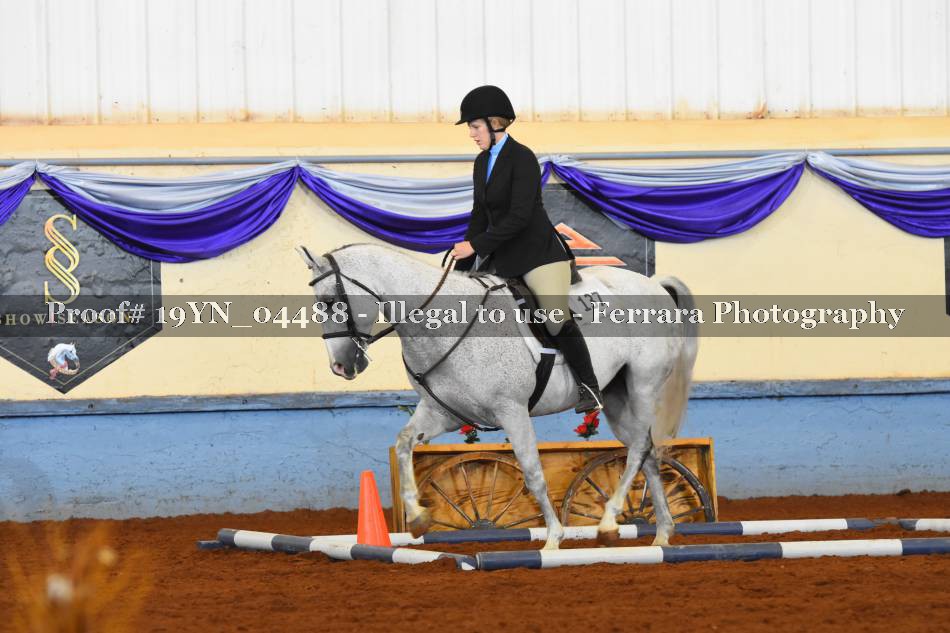 Proof 19YN_04488