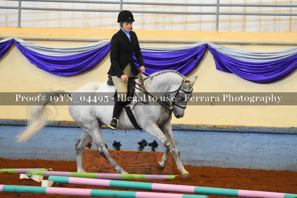 Proof 19YN_04495
