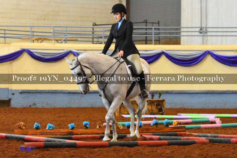 Proof 19YN_04497
