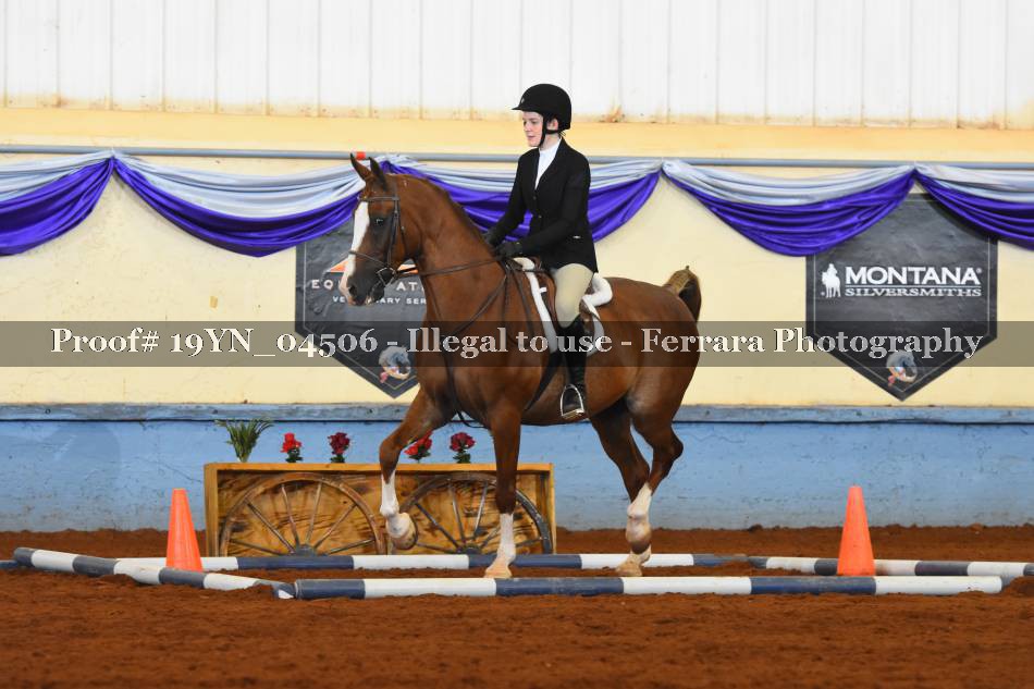 Proof 19YN_04506