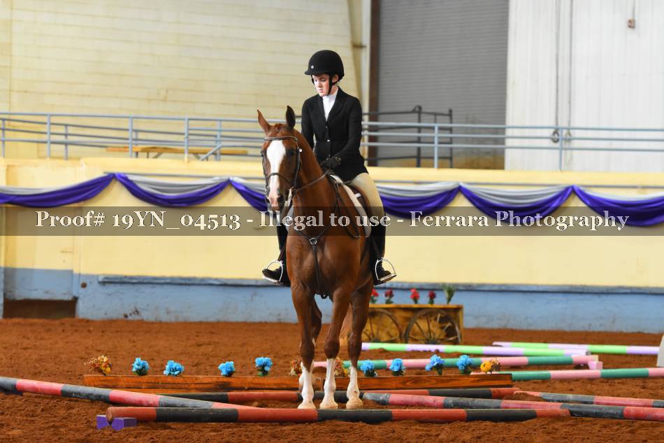 Proof 19YN_04513