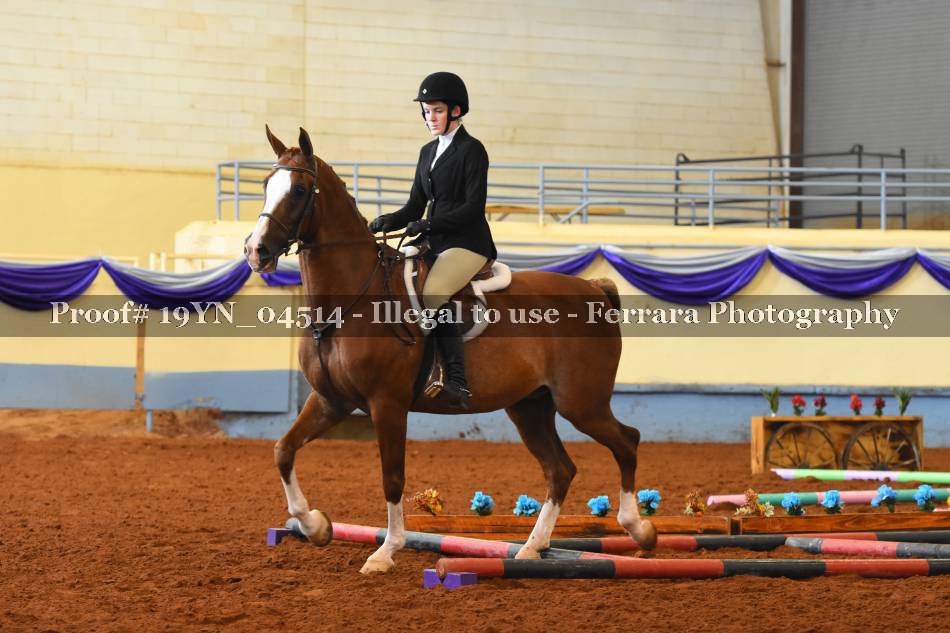 Proof 19YN_04514